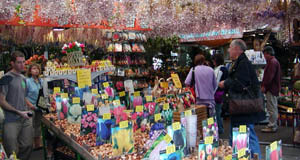 Der Bloemenmarkt Amsterdam